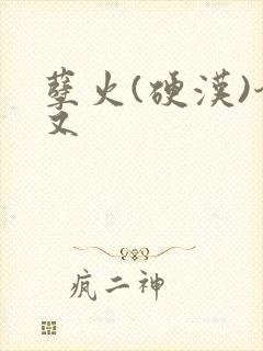 孽火(硬汉)今又