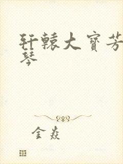 轩辕大宝芳菲雅琴