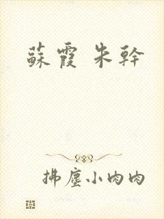 苏霞 朱干封面