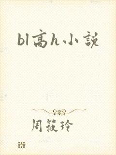 bl高h小说