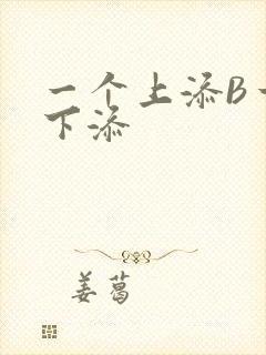 一个上添B一个下添封面
