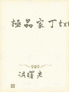 极品家丁txt