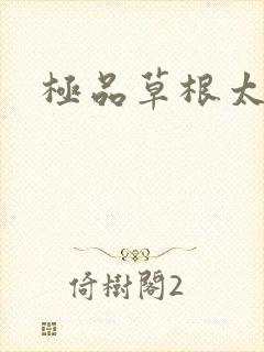 极品草根太子