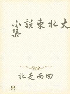 小说东北大炕全集封面