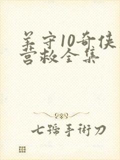羊守10奇侠大营救全集封面