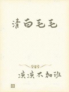 清白毛毛