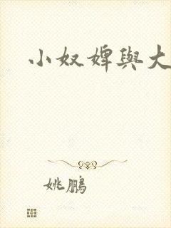 小奴婢与大少爷