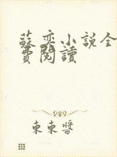 苏奕小说全文免费阅读封面