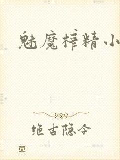 魅魔榨精小说