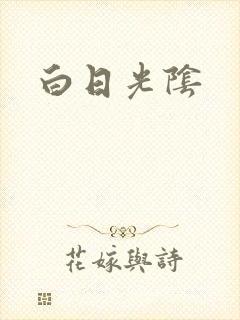 白日光阴封面