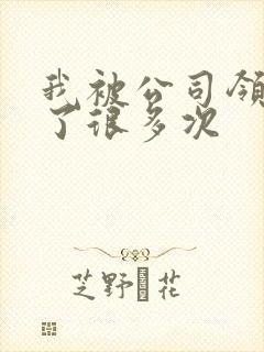 我被公司领导C了很多次
