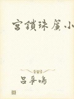 宫锁珠帘小说