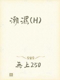 潮湿(H)