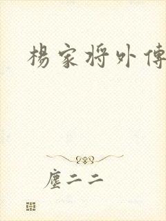 杨家将外传