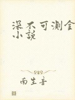 深不可测金银花小说