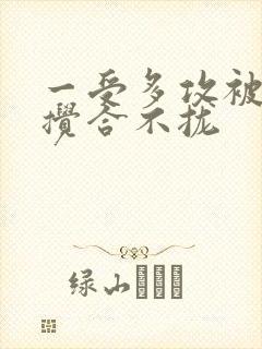 一受多攻被双龙搅合不拢