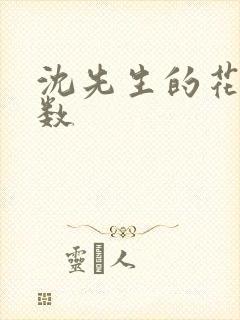 沈先生的花式调数封面