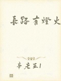 长路有灯火