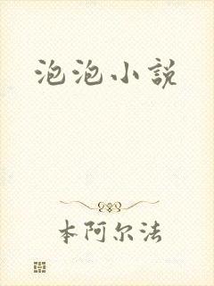 泡泡小说