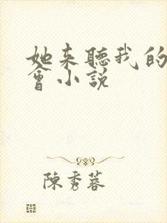 她来听我的演唱会小说
