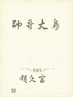 帅哥大鸟