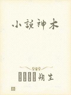 小说神木封面
