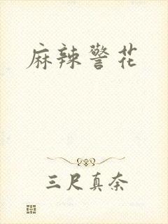 麻辣警花