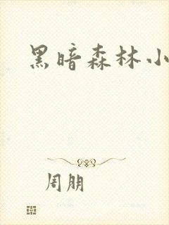 黑暗森林小说