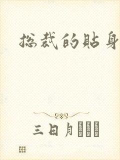 总裁的贴身女佣