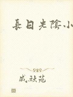 长日光阴小说