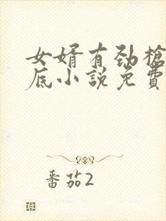 女婿有劲枪枪到底小说免费阅读封面