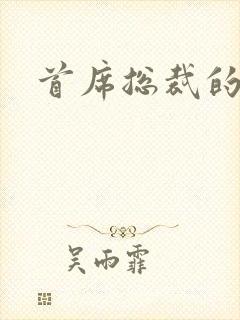 首席总裁的逃妻