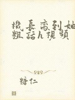 机长脔到她哭h粗话h视频