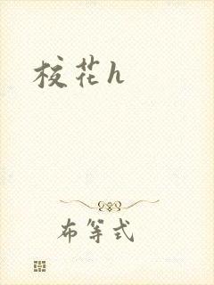 校花h封面