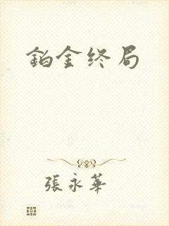 铂金终局