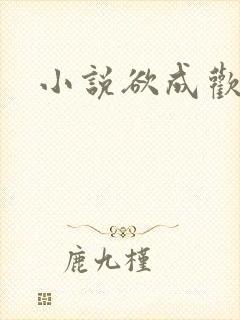 小说欲成欢