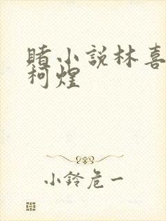 赌小说林喜朝和柯煜