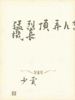 猛烈顶弄h禁欲机长封面