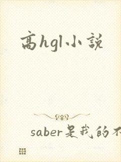 高hgl小说