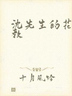 沈先生的花式管教