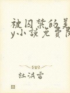被囚禁的美人by小说免费阅读