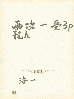 两攻一受3p双龙h