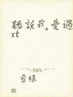 听说我爱过你txt