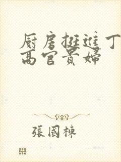 厨房挺进丁字裤高官贵妇