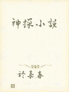 神探小说