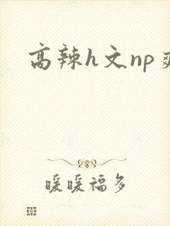 高辣h文np爽