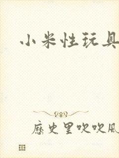小米性玩具日记