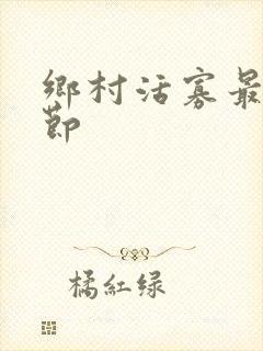 乡村活寡最新章节