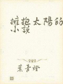 拥抱太阳的月亮小说