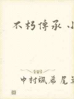 不朽传承 小说